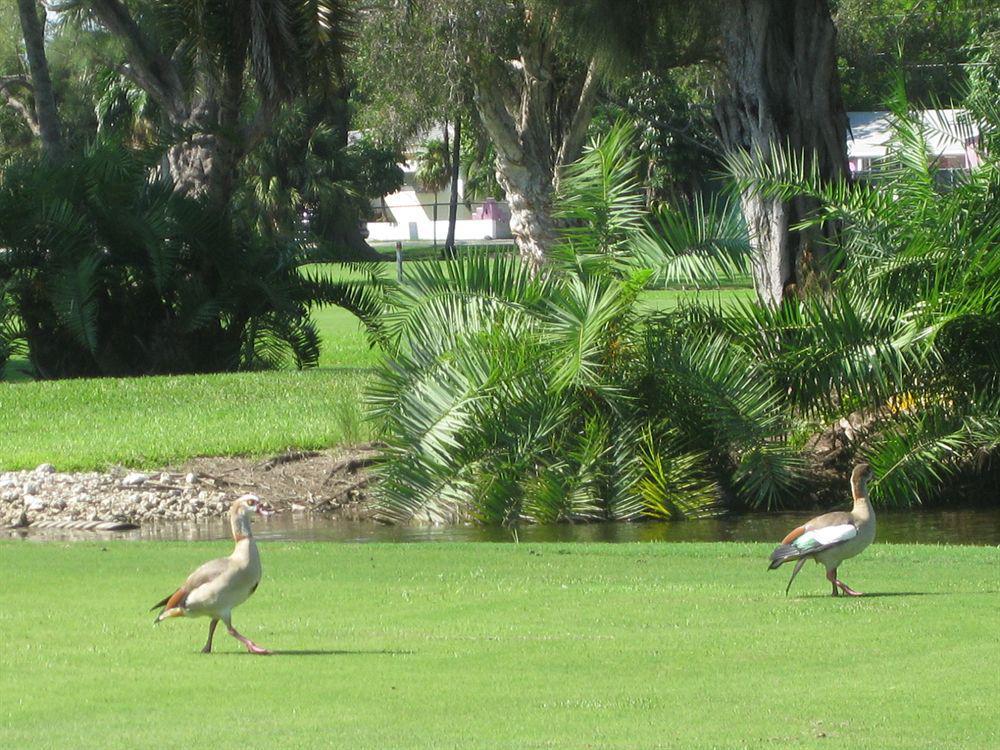 Hollywood Beach Golf Resort 외부 사진